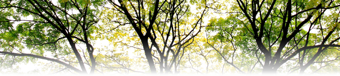 弊社へのアクセス